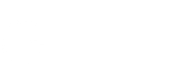 Gemini Logo